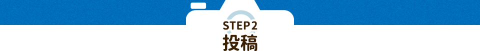 step2 投稿