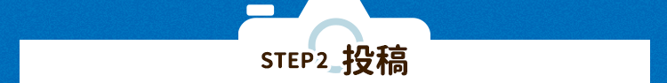 step2 投稿