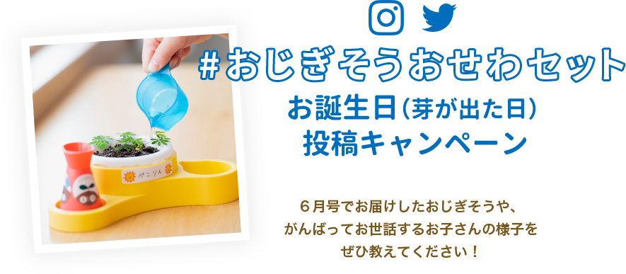 おじぎそうおせわセット お誕生日投稿キャンペーン