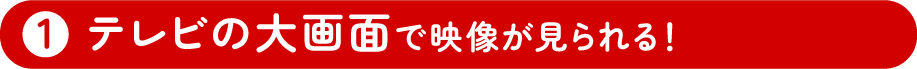 1 テレビの大画面で映像が見られる！