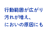 行動範囲が広がり汚れが増え、においの原因にも