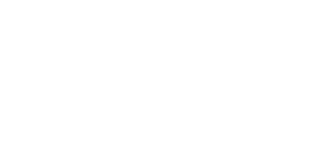 過去の参加者の声